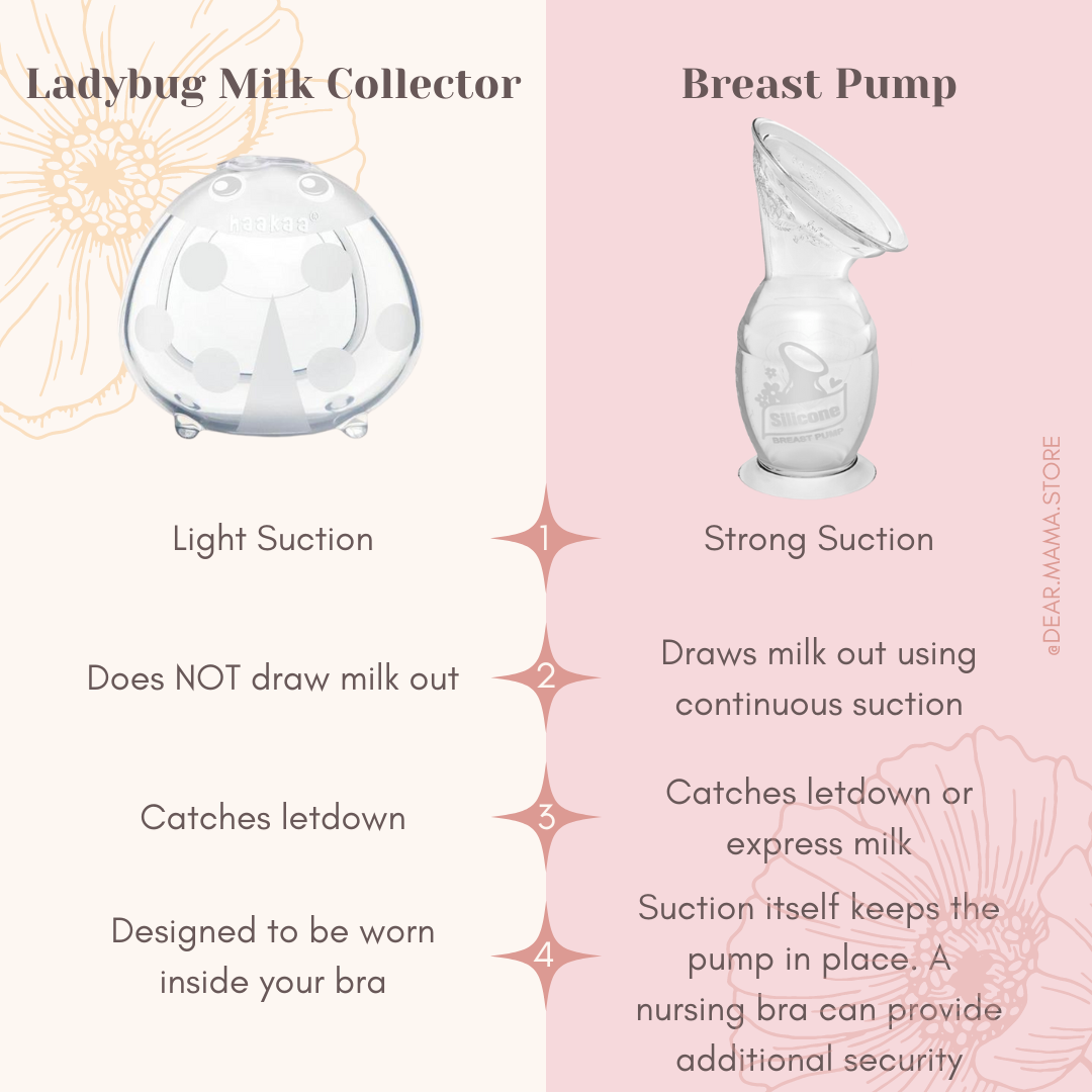 How to collect letdown breastmilk. The best hands free wearable breast pump in Australia. Haakaa Lady Bug silicone breast milk collector Pregnant Labour Birth Postpartum Essential - Dear Mama Store Australia. Free shipping available.